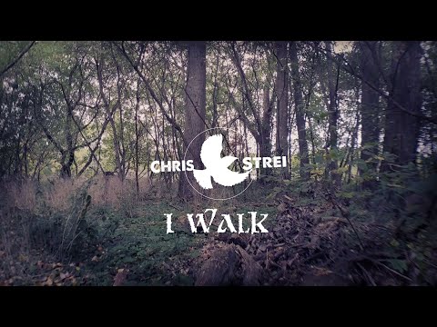 I WALK - CHRIS STREI - LYRICS VIDEO