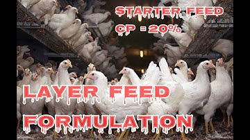 0-5 WEEK LAYER FEED || COMMERCIAL  LAYER  || STARTER FEED || HOW TO MAKE LAYER FEED | F&F | PART I