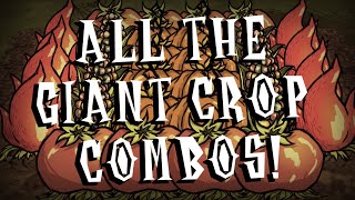 The Definitive Giant Crop Combination Guide  Don't Starve Together: Reap What You Sow