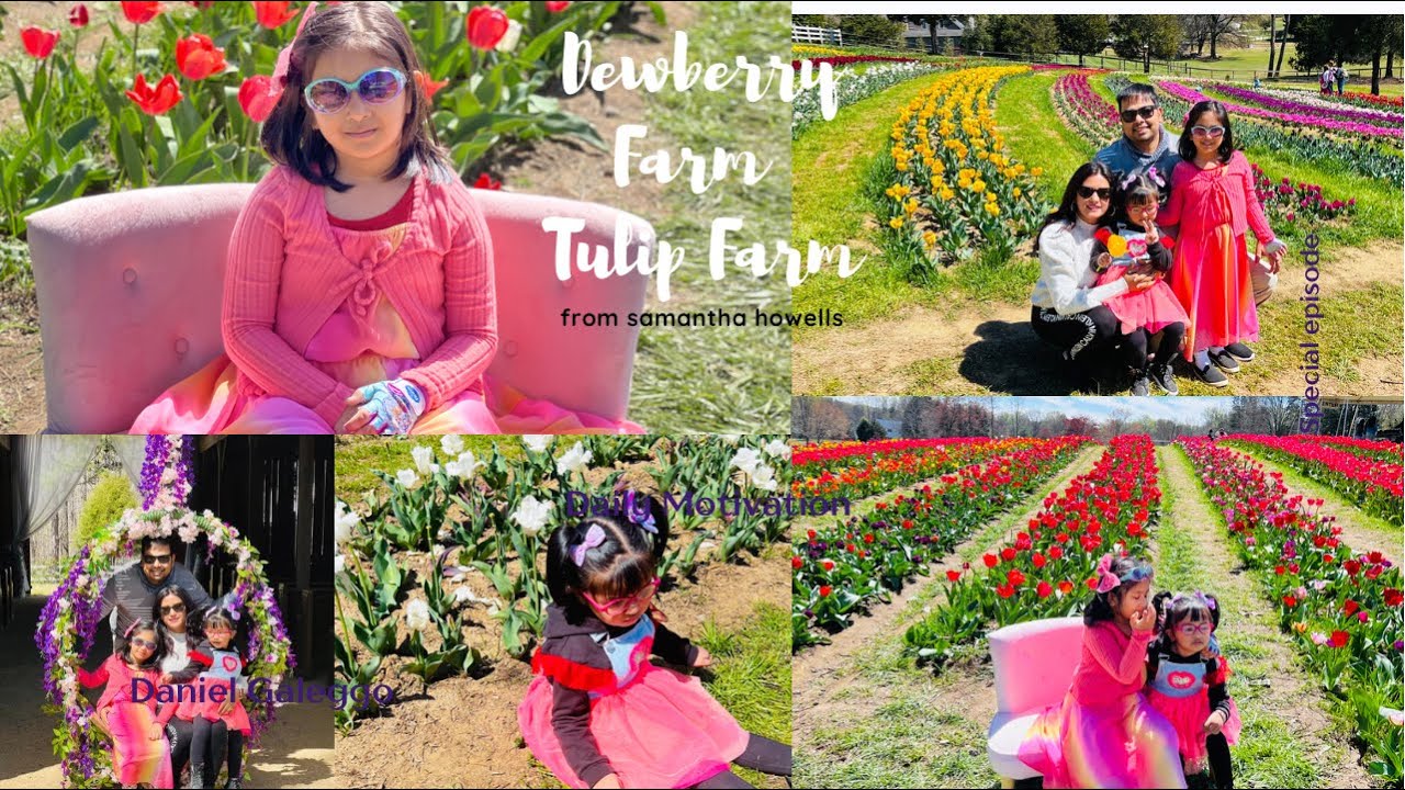 Tulip Farm visit with family and Friends || Dewberry Farm|| Spring || Urmila’s World