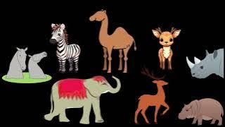 Taman Safari I Koleksi lagu kanak-kanak