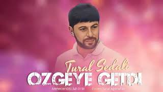 Ozgeye Getdi - Tural Sedali 2022 Resimi