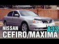 Стоит ли покупать бизнес-седан за 300 тыс? Nissan Cefiro/Maxima A33