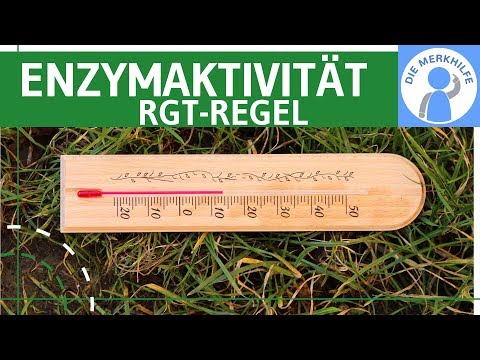 Video: Wie wird die Enzymaktivität von der Temperatur beeinflusst?