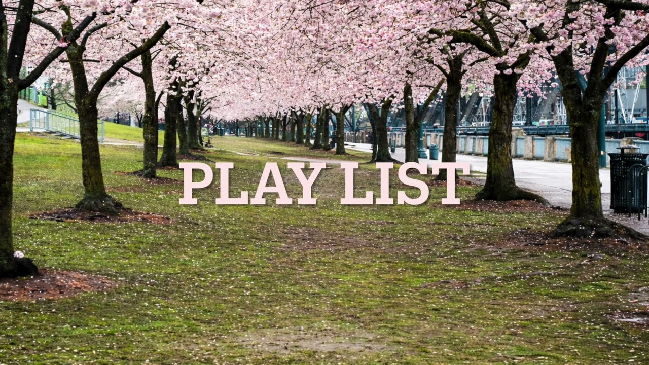 | PLAY LIST | 봄 설렘 인디 플레이리스트 🌸 새 학기, 새로운 사랑, 청량 어쿠스틱 감성