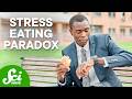 Understanding Stress Responses