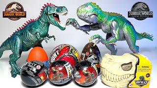 Hatch New Dinosaur Eggs with Jurassic World Dinosaurs Camp Cretaceous!