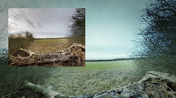 PowerDirector Android App 12 Using Google Photos Make a Movie