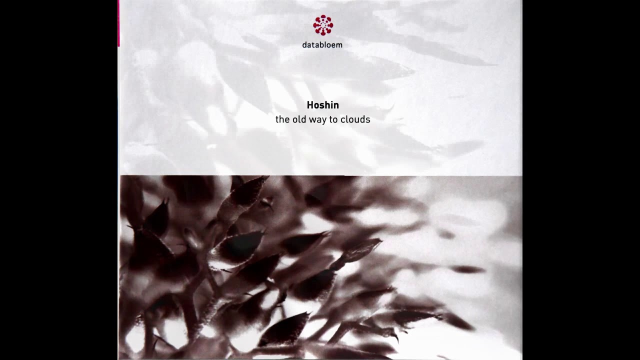 Hoshin - The Old Way To Clouds (Extract)