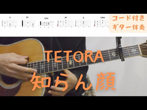 【ギターコード付き】TETORA/知らん顔【アコギ弾いてみた】