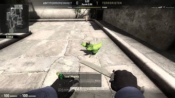 CS:GO Zombie Chicken