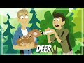 Wild kratts  deer buckaroo  full episode   kratts sries