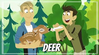 Wild kratts  Deer buckaroo!  Full episode  HD  KRATTS SÉRIES