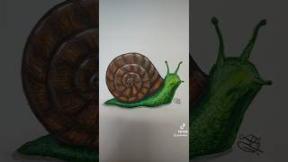 dibujando un caracol 🐌#caracol #dibujo #arte #art #drawing #snail #animals #animales #