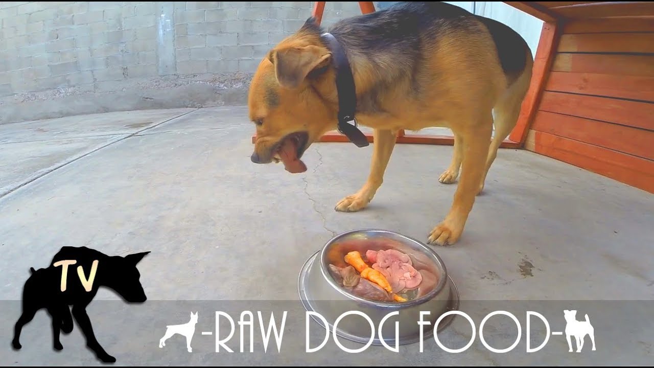 feeding raw pig feet to dogs