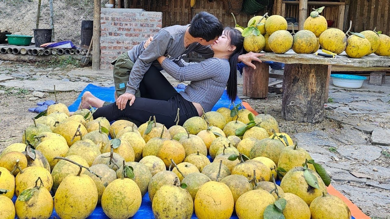 The female CEO and her husband harvest grapefruit, cabbage, ginger and tomatoes to sell