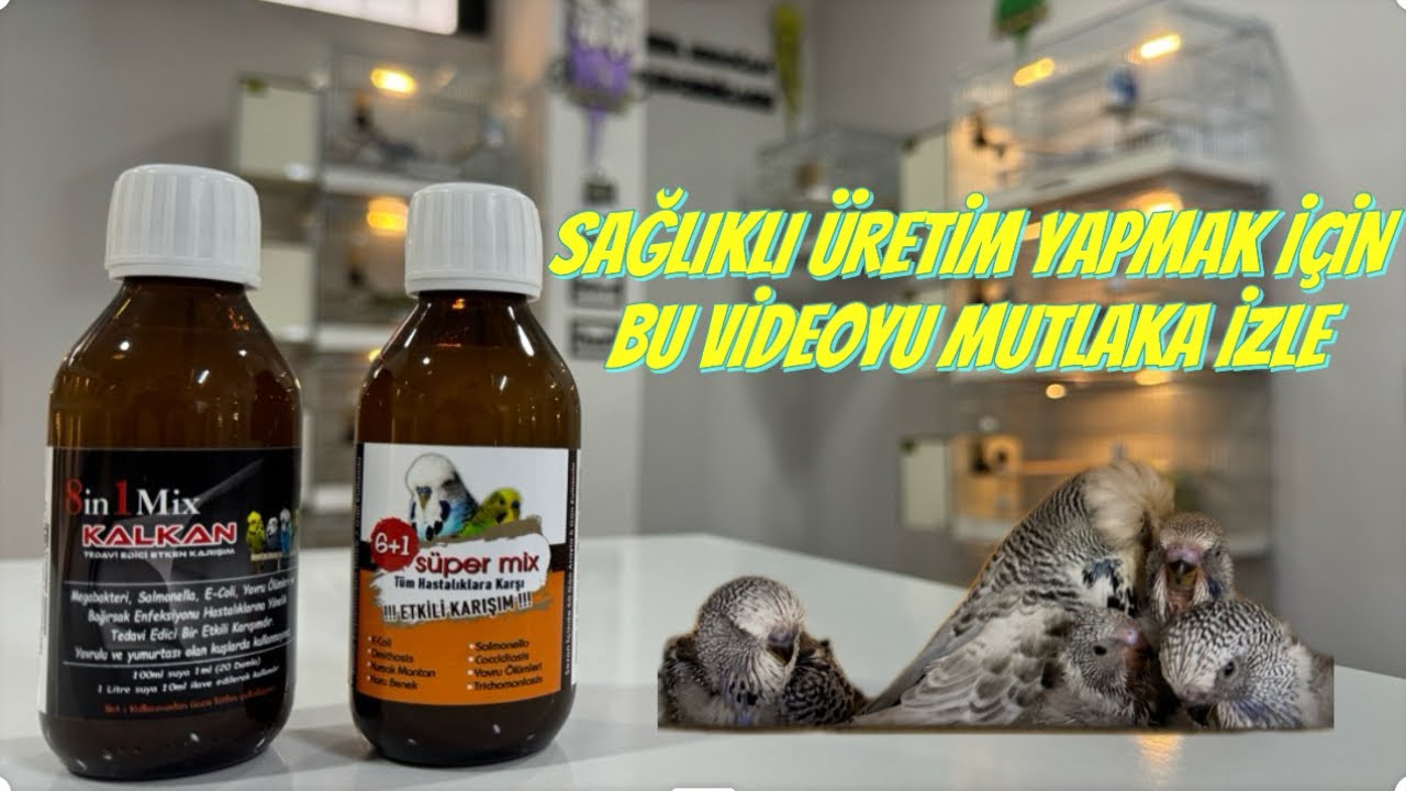 Hastalıklardan Koruyucu 6+1 Süpermix ve 8in1mix Ürünlerimiz Hakkında Bilgilendirme