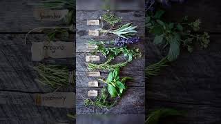 Beautiful Designing A Garden With Aromatic Herbs Garden Decor Ideas