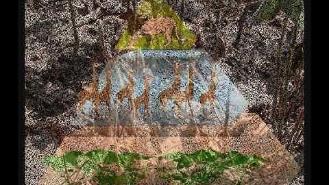 Predator-Prey relationships science video