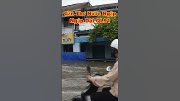 CẦN THƠ NƯỚC NGẬP TẠI QUỐC LỘ 19 quá trời nước năm nay lên quá cao #shorts