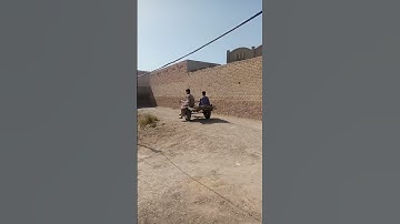 #The beautiful donkey #animals #shortsvideo #donkeylovers