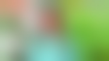 🌱First 2 Weeks Of Veg: Don