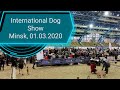 Международная выставка собак (International Dog Show). Ратомка (Беларусь), 01.03.2020