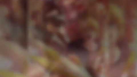 (RWBY) Jaune Arc tribute