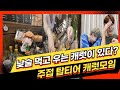 세븐틴은 캐럿들이 낮술 하는 것까지는 모를 거야 그치?