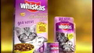 Трогательная реклама Вискас для котят 2003 года