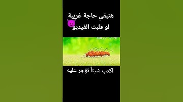 ان الله وملائكته يصلون على النبي يا أيها الذين آمنوا صلوا عليه وسلموا ❤️ #quran #قرآن #القارئ فريد