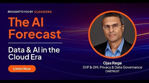 Ep 42 | AI as a New Class of Risk with Ojas Rege