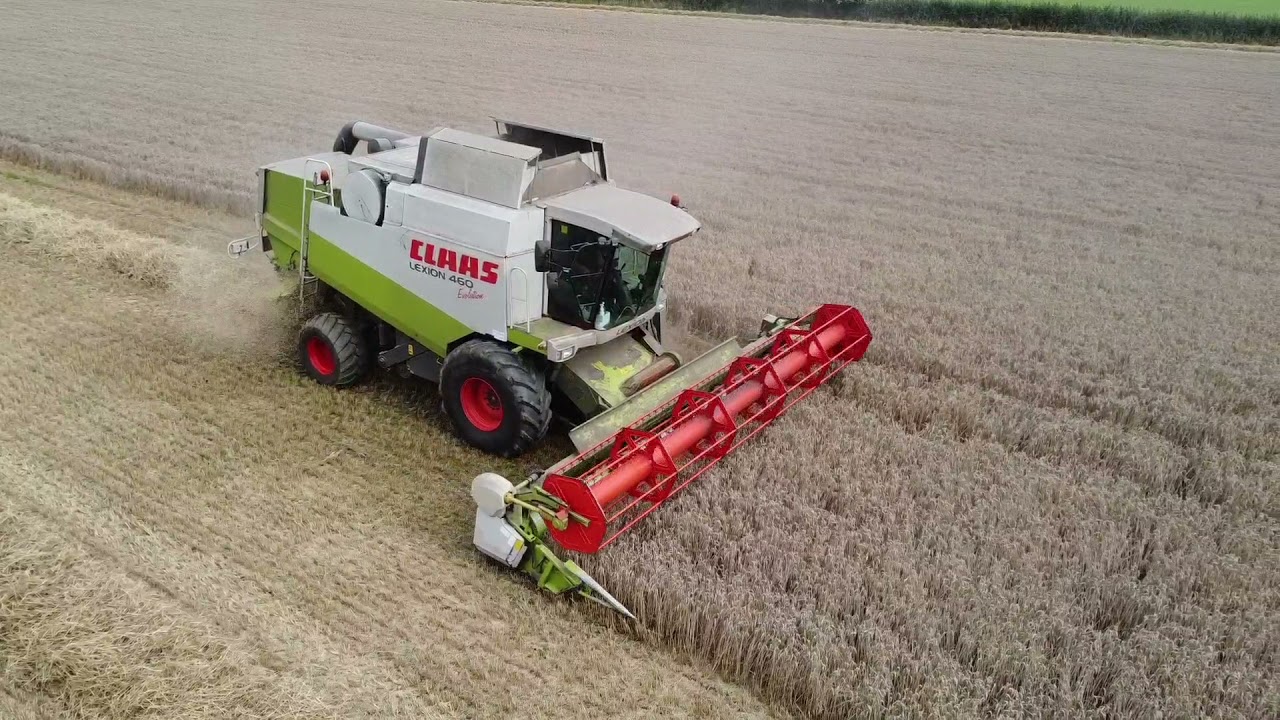 29-8-21 Nathan Sparrow Ltd. Combining with Claas Lexion 460