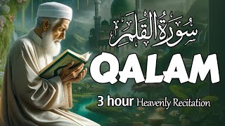 Stunning Recitation Of Surah Al Qalam سورة القلم | SOFT VOICE screenshot 5