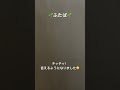 わかば・つむぎの口笛聞いてるのね〜😊いつの間にか「チッチッ!」言えるようになってました🎶🦜(途中映像乱れますスミマセン) #シロハラインコ #White-bellied Caique