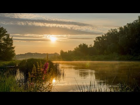 Бейне: Супер қаһармандар минимумға дейін