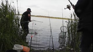 Открытие летнего сезона с приключениями. фидер и всё остальное. Рыбалка в Беларуси.