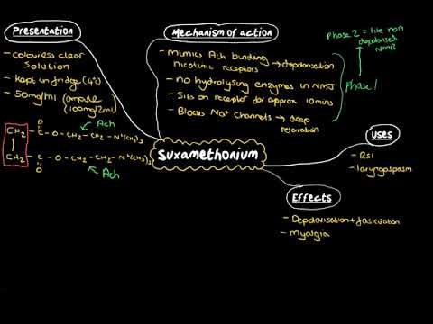 Video: Suxamethoniumchlorid - Brugsanvisning, Analoger, Pris, Anmeldelser