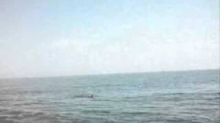 JULIÁN EL SER HUMANO SE BAÑA EN SANT POL DE MAR