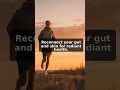 Unlocking Youth: The Gut-Skin Connection