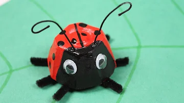 Comment reconnaître des œufs de coccinelle ?