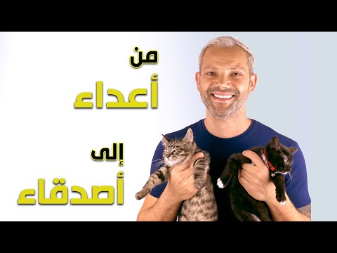 كيف تعرّف قطي على قط جديد - أول لقاء بين القط نار والقطة شوق - اليوم ١ Introducing Two Cats DAY 01