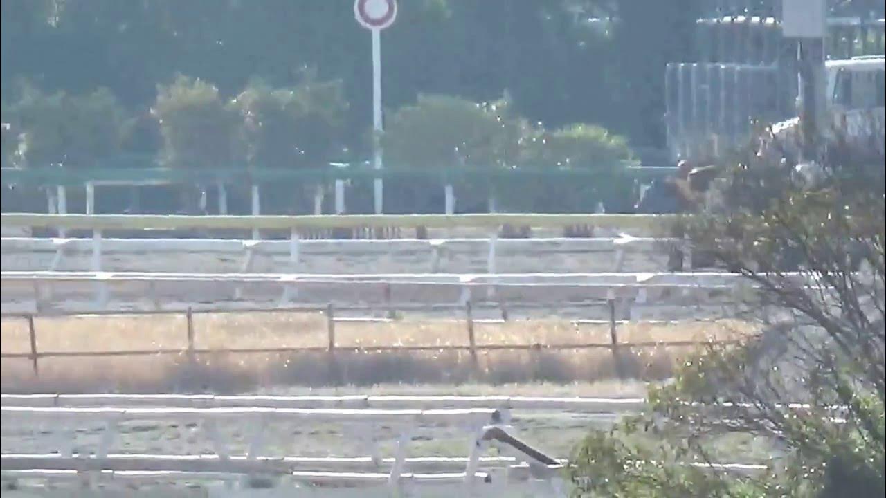 ミルザハニ能力試験 YouTube