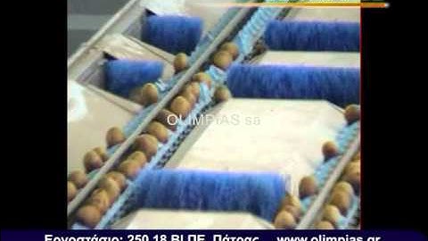 Γραμμή διαλογής-ταξινόμησης για ακτιδίων.Sizing-grading-packaging lines for kiwi.