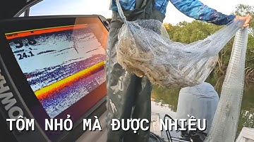 Chài Tôm Một Mình Được Nhiều Tôm - Catch and Cook Prawns | #60 | Đức Ở Úc Câu Cá