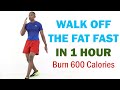 Walk Off the Fat Fast in 1 Hour/ 5 Mile Walk 🔥 Walk 7,000 Steps Burn 600 Calories🔥