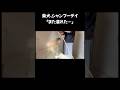 柴犬、しっぽでわかるテンション【豆柴ころた】#shorts #柴犬 #柴犬のいる暮らし #豆柴 #shibainu