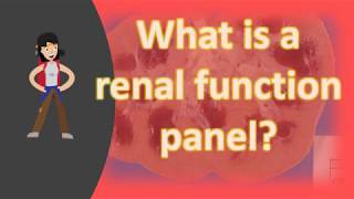 What is a renal function panel ?
