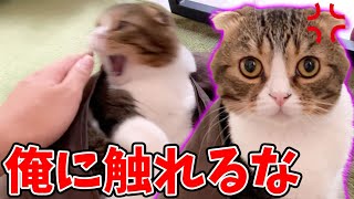 激おこぽこ太郎VS枕カバーを返して欲しいおっさん