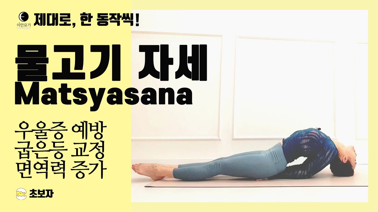 요가마님 [물고기 자세][피쉬 포즈]면역력 증가 ㅣ우울감 완화 ㅣ라운드 숄뎌 개선